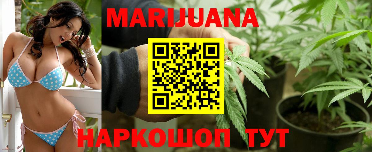 Мурино  Шишки марихуана план  Вход с VPN  МАРИХУАНА семена 